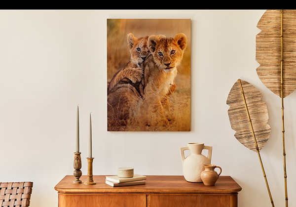 Organski Drveni Panel - Rustična Definicija