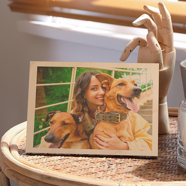 Organski Drveni Panel - Rustična Definicija