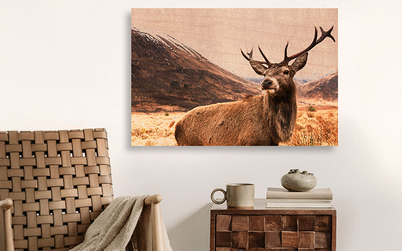 Organski Drveni Panel - Rustična Definicija